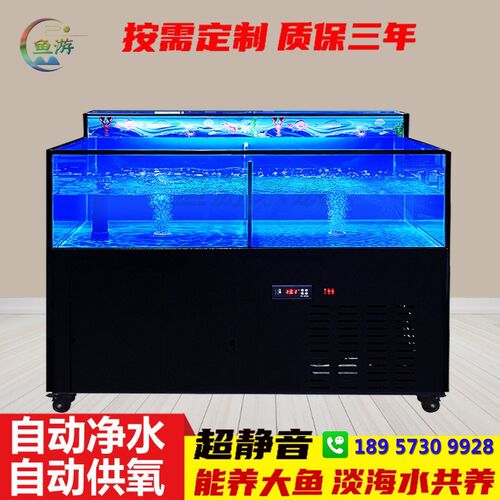 一层海鲜鱼缸制冷机一体饭店专用小型贝类池海鲜缸海鲜池商用定制