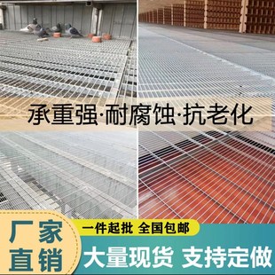 热镀锌鸽舍地网公棚鸽棚底网养殖鸽笼漏粪可站人踩踏钢格栅板