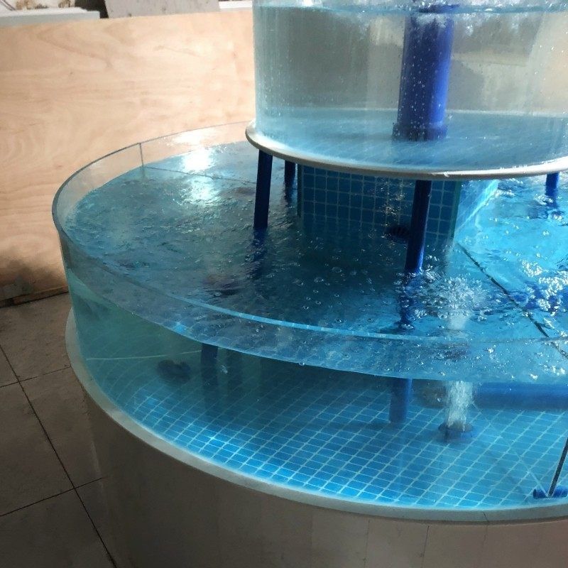 圆形海鲜池酒店饭店海鲜鱼缸设计制作贝类池定做生鲜大闸蟹缸定做,宠物/宠物食品及用品,海鲜缸/大型异形缸,淘宝优惠券,粉丝福利购,淘宝优惠卷