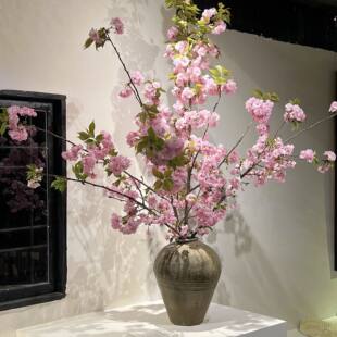 粉色樱花鲜切枝水培植物鲜花云南直发客厅绿植珍珠李鲜切花插瓶花