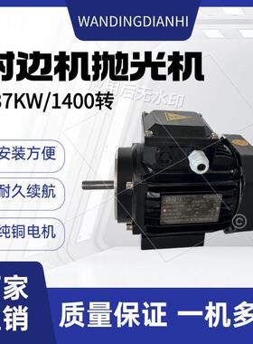 台州市万鼎电机科技有限公司三相电机三相台式抛光机0.37W