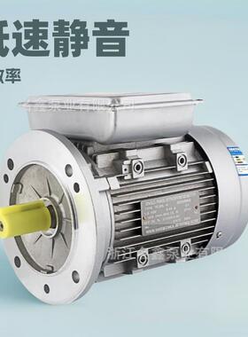 单相异步电动机370/0.75w/4级家用220V铝壳YL低速电机立式设备用