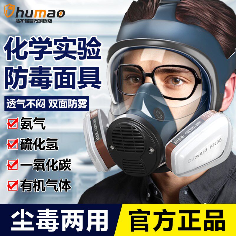 实验室防毒面具全面罩全脸防护防C硫化氢化工气体装修甲醛工地粉