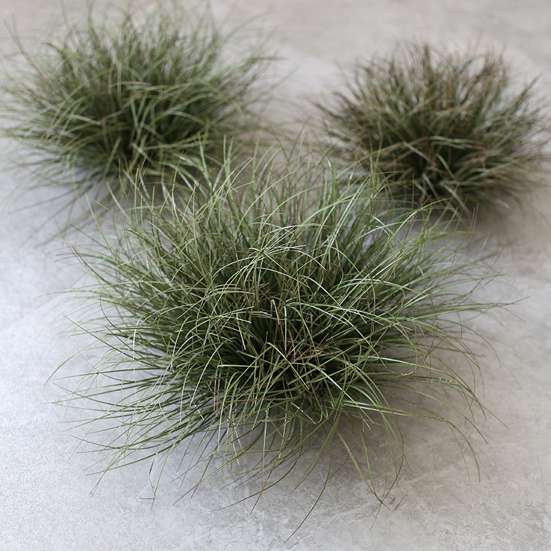蒲草球仿真植物造景摆件店铺装饰假草堆I景观芦苇草灌木草绿植园
