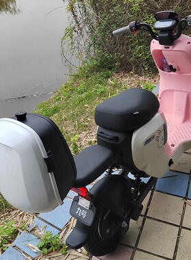 九号A2Z35C/A2Z40/A2Z90/A30C+/A60+/A80+/A90+电动车后备箱尾箱