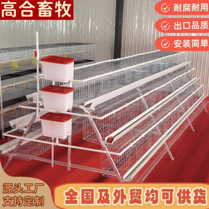 蛋鸡笼鸡笼镀锌三层四层阶梯蛋鸡笼养殖自动化工厂直供可供外贸,畜牧/养殖物资,特种养殖设备,淘宝优惠券,粉丝福利购,淘宝优惠卷