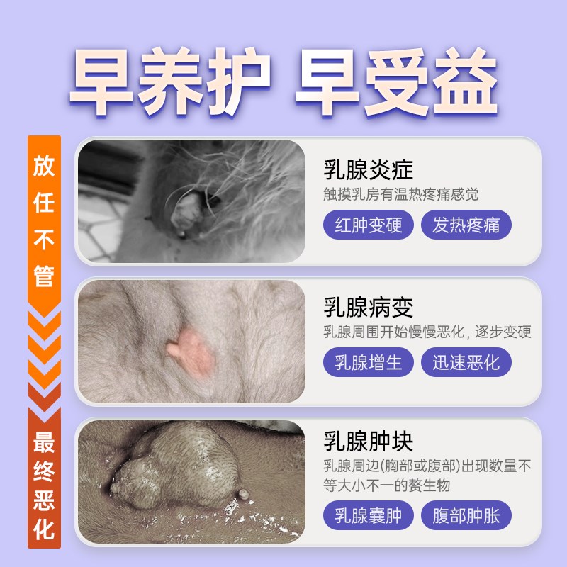 宠医到猫咪狗狗乳癖消爱双理片宠物用乳腺炎假孕非药涨奶回奶子宫