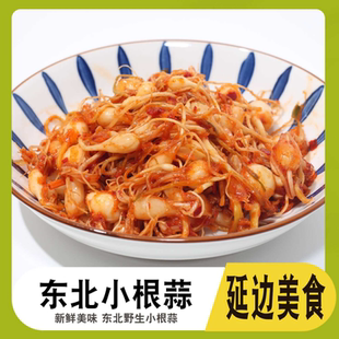 东北韩式小根特产延边朝鲜族咸菜新鲜泡菜野生脑瓜小头饭菜薤白