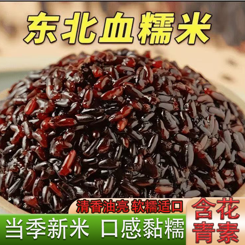 东北农家自产新货黑糯米血糯米软糯适口粒粒饱满蒸饭熬粥可包粽子