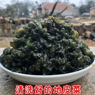 地皮菜野生免洗甘肃特产干货地软地达菜地衣雷公菌地木耳新鲜晒干