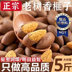 香榧子坚果开口香榧仁礼盒2025年新货枫桥老树香榧浙江诸暨特产