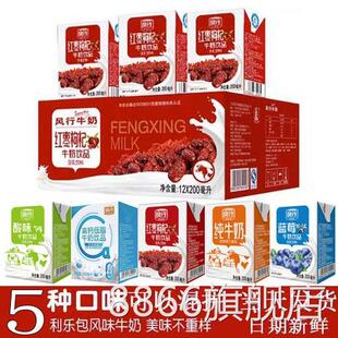 风行红枣枸杞牛奶200ml*36盒24盒12盒整箱装高钙蓝莓原味酸奶纯奶