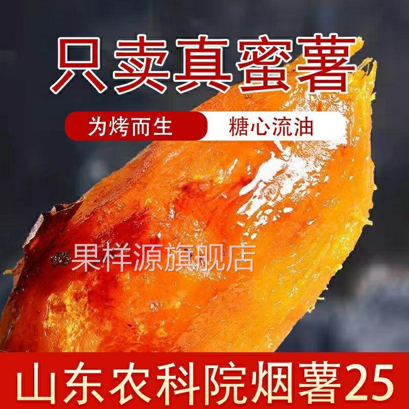 正宗山东烟薯25号流油商用糖心稀蜜薯血管地瓜新货烤红薯红心密薯