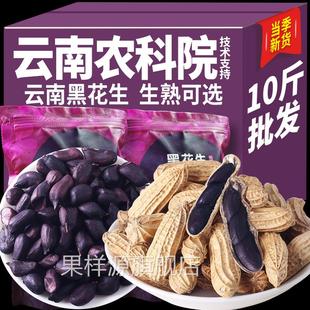 农科院云南黑花生新货带壳生的炒熟黑花生普洱特产富黑皮硒花生米