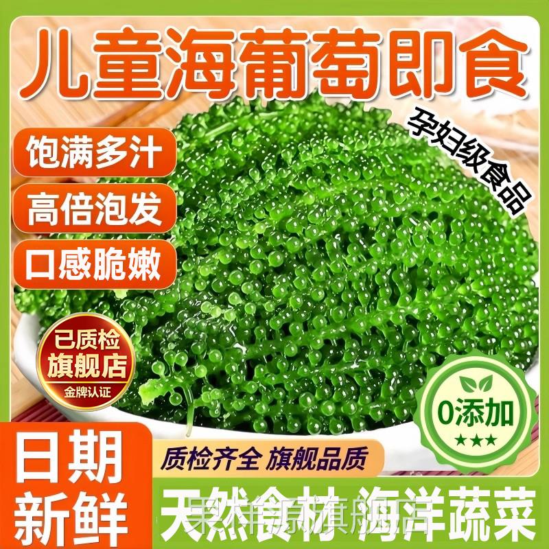央妈推荐海葡萄儿童即食官方旗舰店新鲜盐渍鱼子酱海带草丝海藻裙