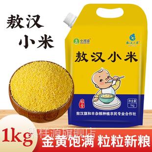 小河沿敖汉小米2023秋季新米内蒙古赤峰敖汉旗黄小米5斤金苗K1