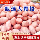 东北白沙花生米2024年新货农家自种新鲜去壳生粉红皮榨油花生仁粒