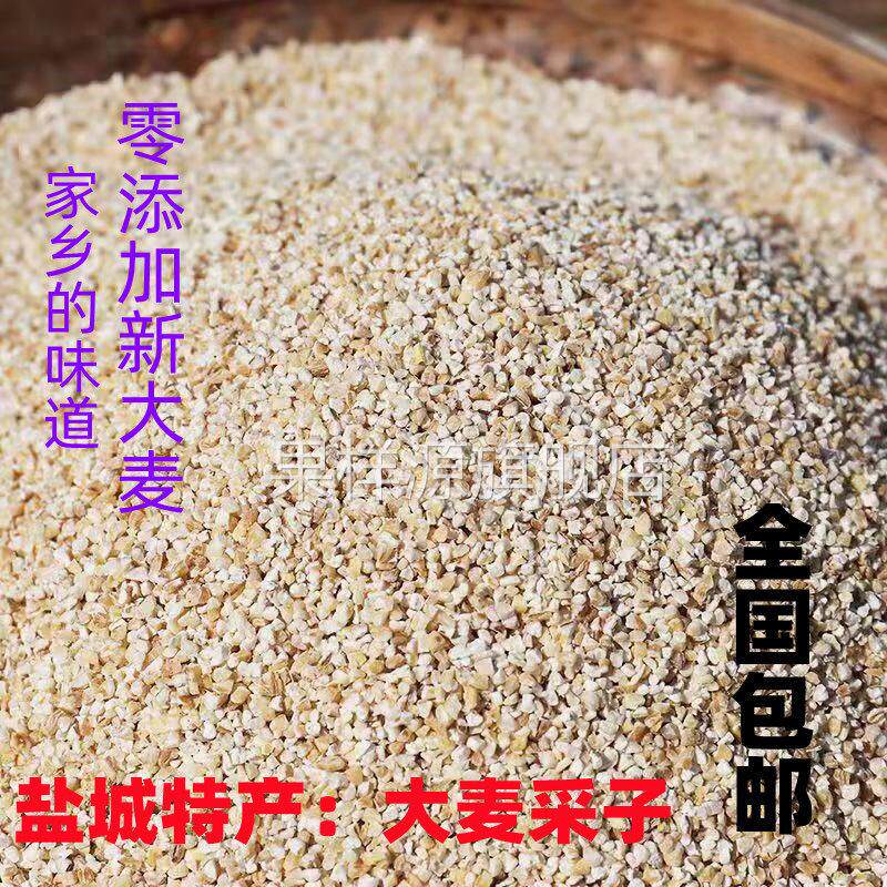 大麦糁子苏北盐城特产五谷杂粮大麦糁大麦面大麦米杂粮米