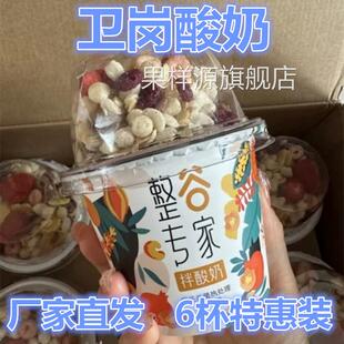 卫岗酸奶整谷专家谷物嚼拌酸奶常温代餐145g*6杯饱腹即食早餐整箱