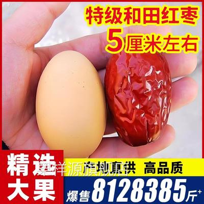 红枣特级新疆和田大枣新货特大红枣干枣子无核一级特产官方旗舰店