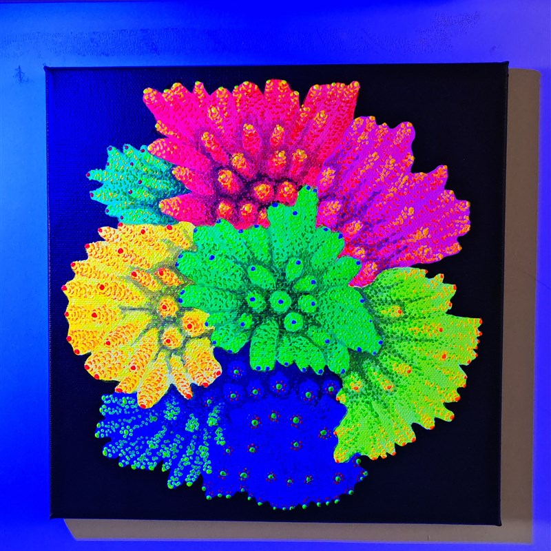 纯手绘海缸装饰荧光画海水鱼珊瑚荧光丙烯画30厘米方图片