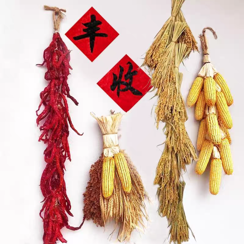 真玉米串大蒜辫子编辣椒