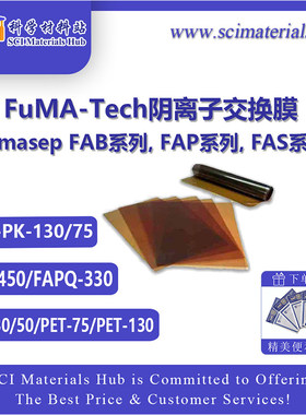 德国FuMA-Tech Fumasep FAB-PK-130 FAB-PK-75阴离子交换膜 CO2RR