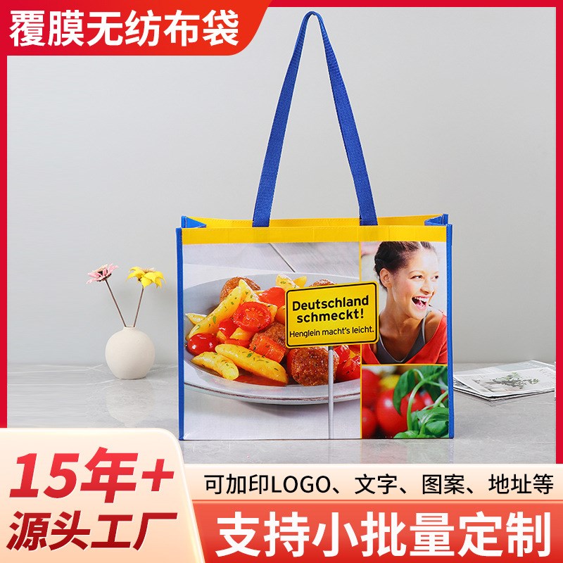 无纺布手提袋定制购物环保袋包装培训班宣传定做广告袋子W印刷LOG