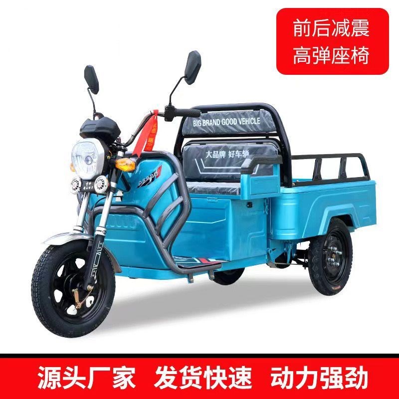 电动三轮车成人小型老人迷你接送孩子货车拉货老年步车三轮新款