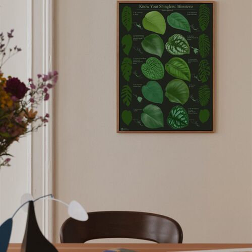 观叶植物图谱挂画家居绿植角落装饰画客厅沙发背景墙画花店花卉画