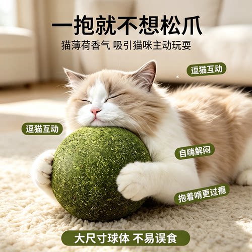 让猫咪上头的猫薄荷丰容玩具