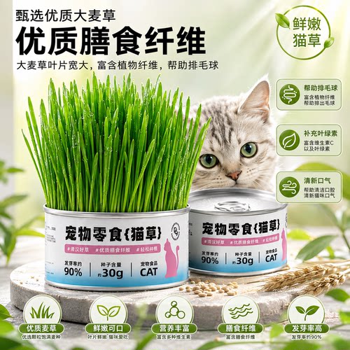 懒人水培猫草罐头化毛排毛