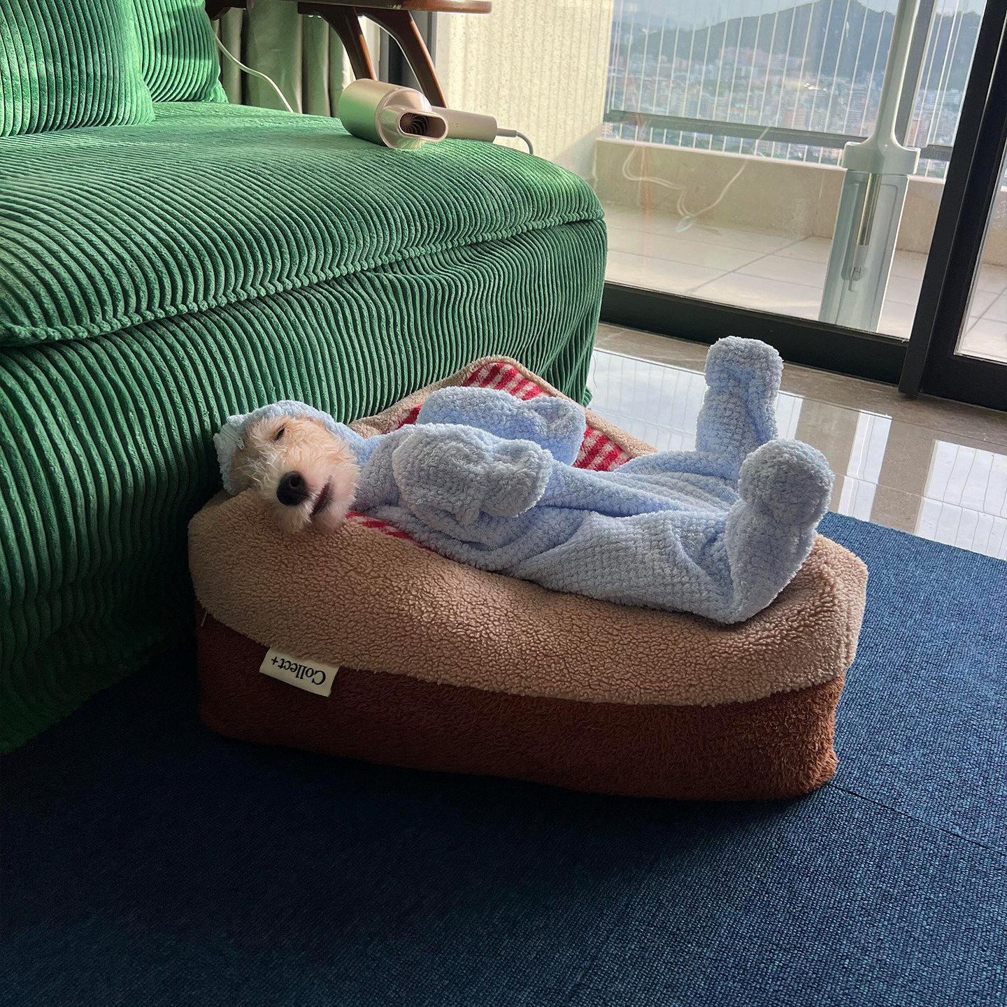 狗狗浴袍宠物狗狗连帽衣服吸水速干泰迪比熊猫咪浴巾洗澡用品毛巾