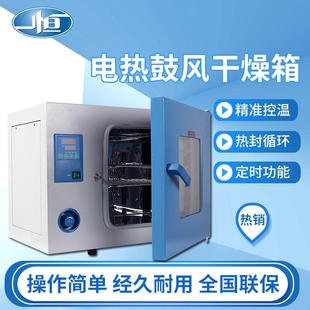 上海电热鼓风干燥箱DHG 9070A 小型实验室烘箱101