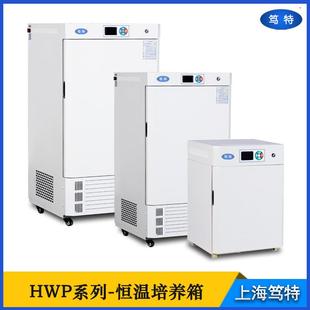 上海HWP小型微生物细菌霉菌培养箱实验室数显电热恒温培养箱