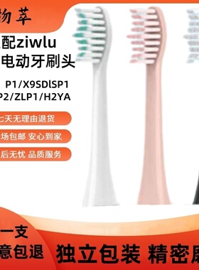 适配日本ziwlu泽拉电动牙刷头P1/X9SDlSP1/FSP2通用替换头1669XD