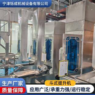 斗式提升机垂直输送颗粒粉末物料车间矿山粮食化工饲料Z型提升机