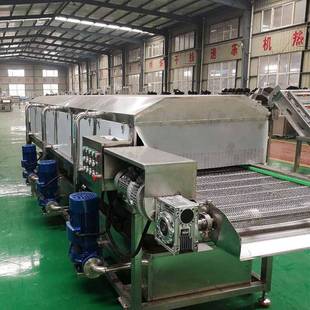 厂家供应火龙果高压清洗双面喷淋清洗机全自动高压喷淋清洗机