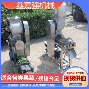 大型苹果梨破碎榨汁机商用果蔬樱桃打浆机工业螺旋柚子菠萝压榨机
