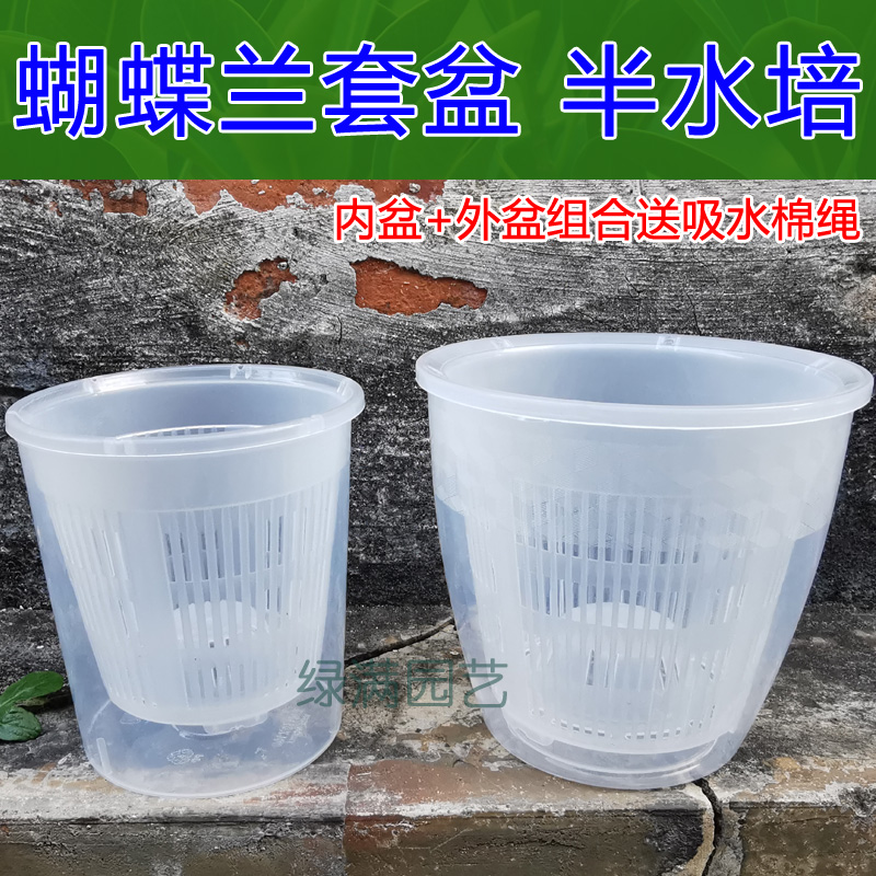 蝴蝶兰专用控根花盆铁皮石斛圆形塑料透气洋兰卡特兰定植篮生根盆