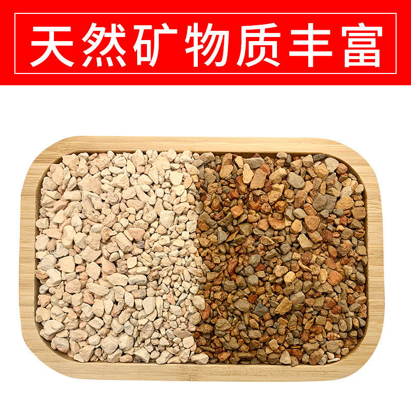 兰花种植介质天然硅藻土硬质颗粒多肉盆景水族营养通用花土铺面石