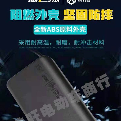 锂电电池智能充电器48v2A电车平行车通用二轮电动车专用航空头配
