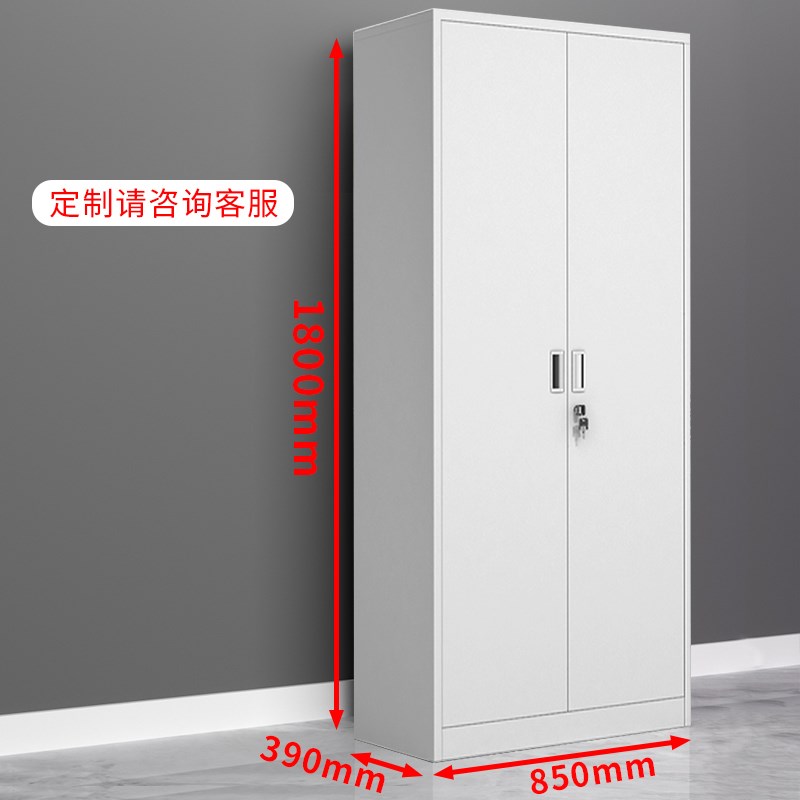 铁门对开钢制铁皮文件柜办公室资料档案凭证储物书柜带锁工具柜子