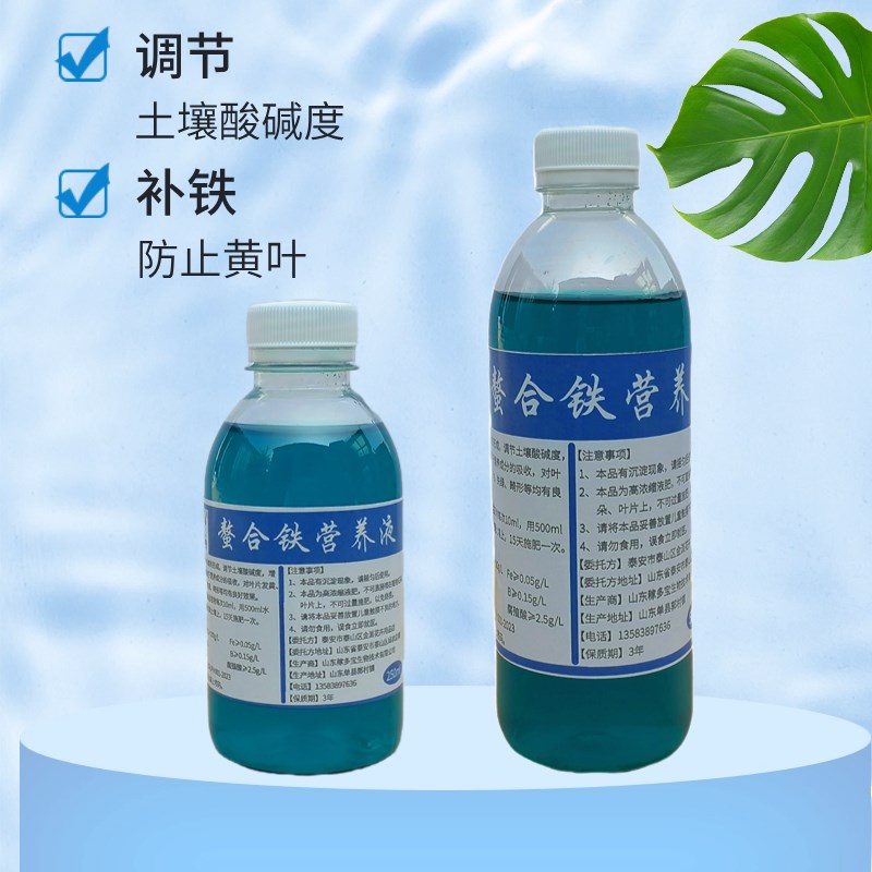 富贵竹专用螯合铁营养液文昌竹家办公室盆栽水培植物叶片发黄补铁