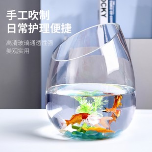饰水培花瓶 精致迷你微景观办公桌小鱼缸桌面玻璃创意艺术家用装