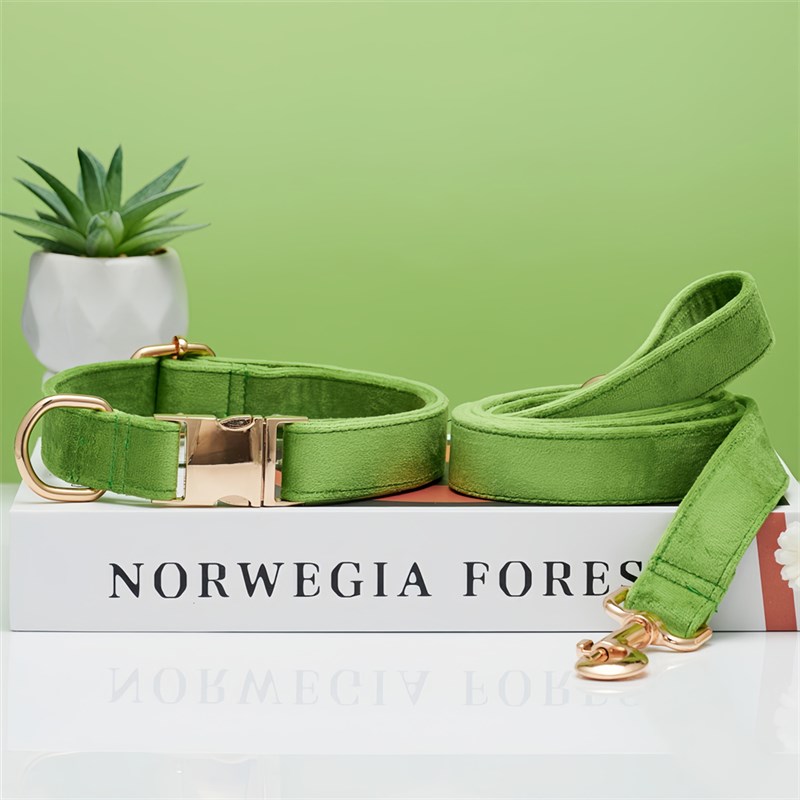 狗狗项圈刻字防丢小型犬外出遛狗狗绳牵引绳脖圈中大型犬柯基颈圈