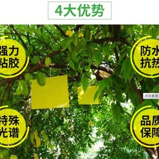 粘虫板黄板双面诱虫板果园蓟马飞虫粘虫蓝黄板沾果蝇针蜂大棚