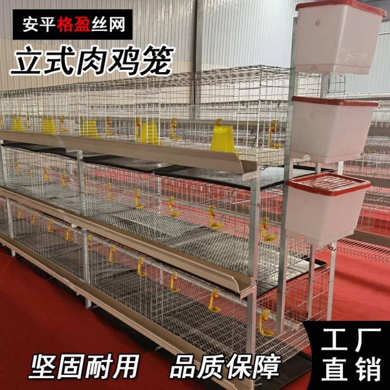 厂家直销肉鸡笼自动化养殖设备现货规格齐全