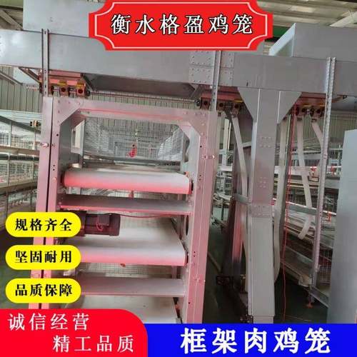 全自动框架肉鸡笼肉鸡笼防锈三层框架肉鸡笼厂家肉鸡笼
