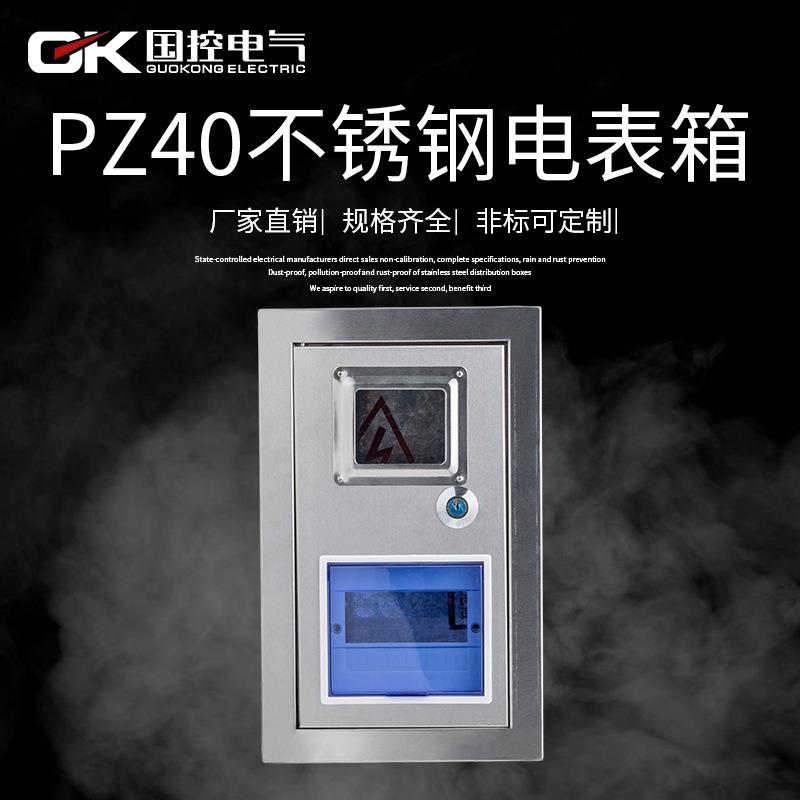 国控不锈钢电表箱单相1户单表PZ40空开6回路明暗装强电照明电表箱